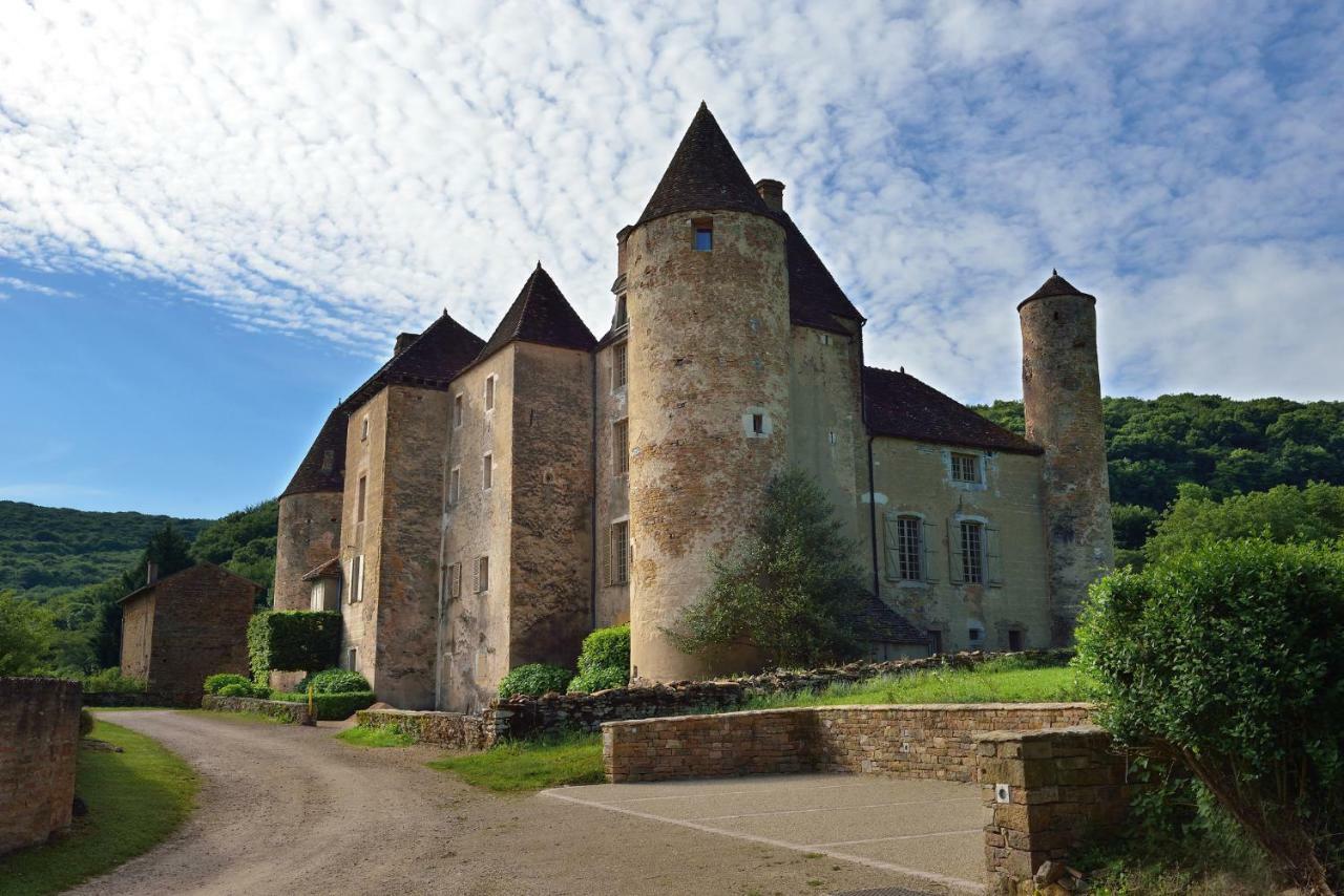 Chateau De Balleure Etrigny Экстерьер фото